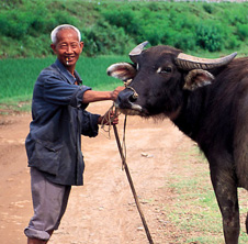 小型飼料顆粒機,農(nóng)民圓夢！
